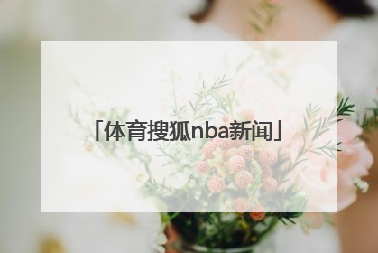 「体育搜狐nba新闻」搜狐nba新闻体育官网