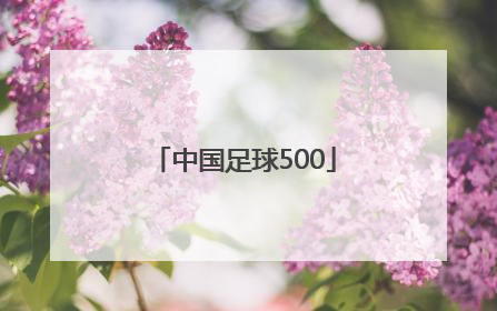 「中国足球500」中国足球500胜负彩