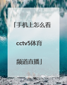 「手机上怎么看cctv5体育频道直播」手机怎么看广东体育频道