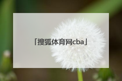 「搜狐体育网cba」搜狐体育网nba