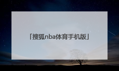 「搜狐nba体育手机版」nba体育频道搜狐